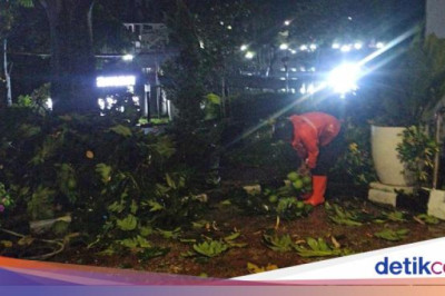 Angin Kencang Bikin Dahan Pohon Patah Timpa Motor di Kantor DPRD Bogor