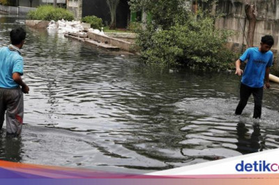 1 RT di Pluit Jakut Terendam Banjir Rob, Ketinggian Air 40 Cm
