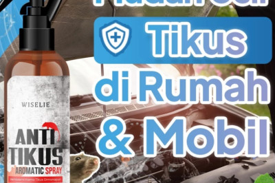 Jangan Gunakan Racun Tikus Jika Tidak Mau Rumah Bau Bangkai — Ini Solusinya!