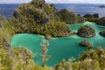 Tambang Nikel di Raja Ampat Disorot, Ini Respons Pendek Dirut Antam